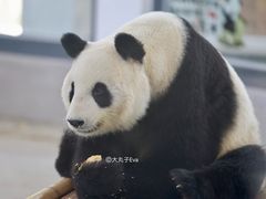 -天津市动物园
