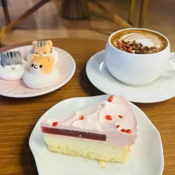 -西安伊美尔医疗美容医院