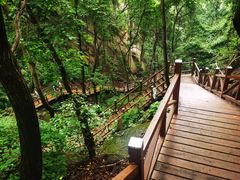 -大岭沟猕猴桃谷风景区