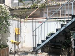 -喵屿·大理花园猫咖