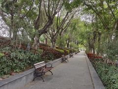 -深圳国际园林花卉博览园