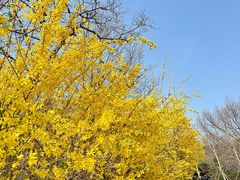 -北京西山国家森林公园