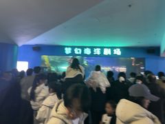 -聊城海底世界