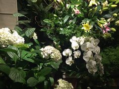 -春暖花开(西溪店)