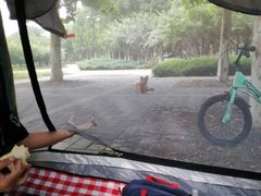 -永定河休闲森林公园