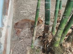 -长鹿旅游休博园