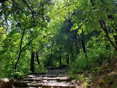 -阳台山自然风景区