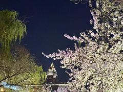 -睦南公园
