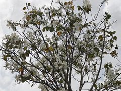 -中国移动南方基地