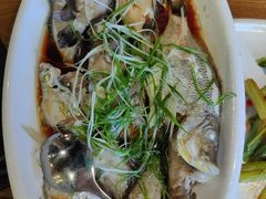 -小猫钓鱼海钓俱乐部(椰梦长廊店)