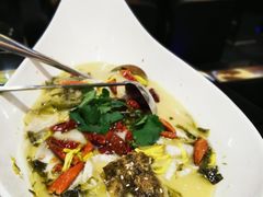 -法兰度航空主题餐厅(河源店)