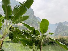 -明仕田园