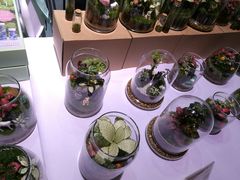 -东浩兰生上海世博展览馆