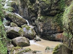 -鹿院坪生态旅游景区