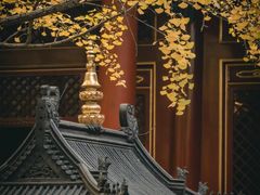 -大觉寺-停车场