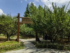 -狼山风景名胜区