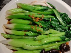 白灼菌菇菜心-新白鹿餐厅(松江开元地中海店)