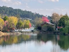 -黑龙潭公园