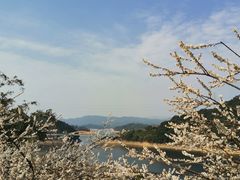-广州市流溪河国家森林公园