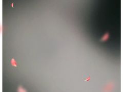 -斯卡拉演艺集团