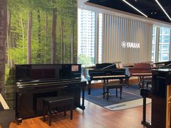 -知音艺术教育培训·钢琴培训·音乐培训(河西金鹰世界校区)