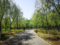 -东郊湿地公园