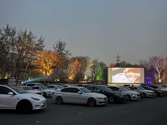 -枫花园汽车电影院(朝阳公园店)