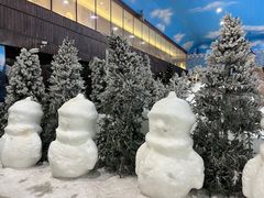 -世界之窗阿尔卑斯冰雪世界