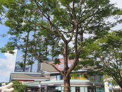 -东莞松山湖万象汇