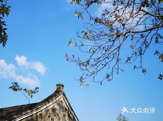 这次下午来到慈城，听说有“古街”可以逛，一走进去发现