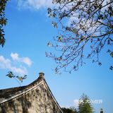 古镇焕新……