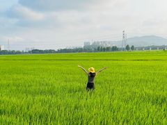 -崖口煲仔饭