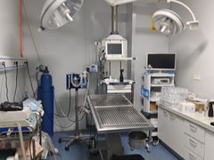 -A猫a狗全科·犬猫异宠·芥西宠物医院(南开总院)