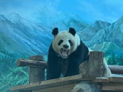 -武汉动物园