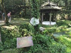 -玉女潭景区