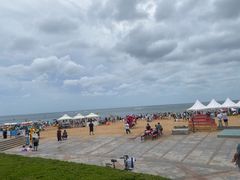-养马岛旅游度假区