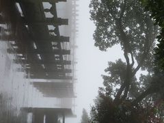 -普陀山风景区-佛顶山
