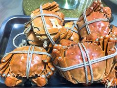 -乡乐园蟹庄·阳澄湖农家乐