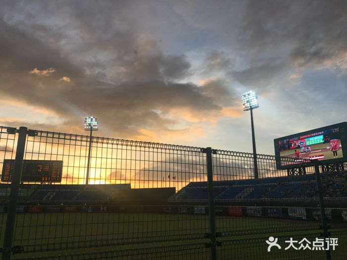 桃园国际棒球场图片