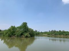 -白鹭湾湿地公园