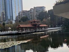 -荔枝公园(福田区)