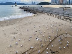 -海云台海滩