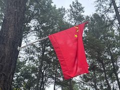 -小小饭店·休闲农庄·安吉松树林里的农家菜