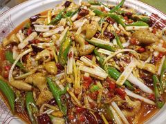 -张烤鸭·川菜·非遗冒烤鸭(青石桥店)