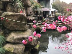 -杭州植物园