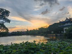 -江心屿景区