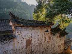 -杨家堂村