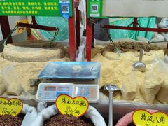 -海河外滩公园