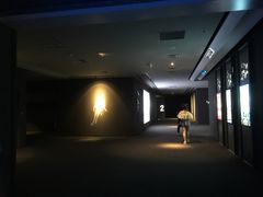 -星轶IMAX影城(桐乡吾悦广场旗舰店)