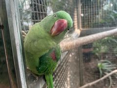 -大连森林动物园